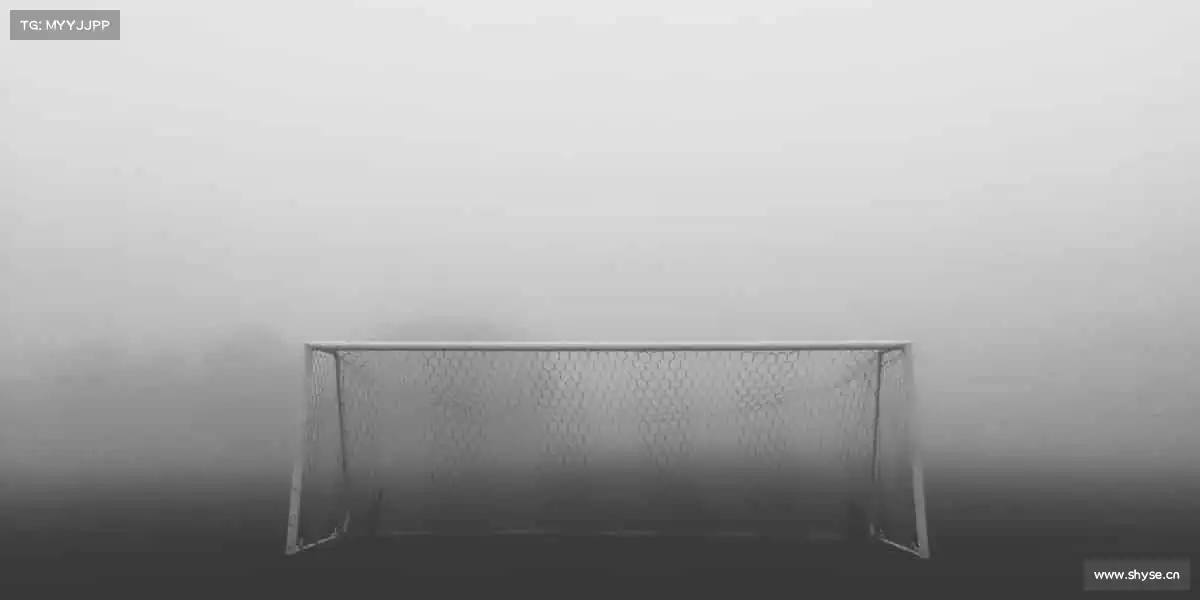 zoty中欧体育无关年龄,只要你敢,全场为你喝彩!👏🎾